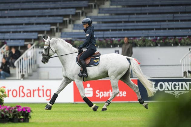 260818 Wilma McMahon of Sweden with horse Cicci during training on day 8 of the 2026 FEI World Championships on August 18, 2026 in Aachen. Photo: Emma Wallskog BILDBYRAN kod EW EW0690 ridsport equestrian rid-vm 2026 2026 fei world championships bbeng ridsport-vm hoppning jumpingsverige sweden *** August 18, 2026: Wilma McMahon of Sweden with her horse Cicci during training on day 8 of the 2026 FEI World Championships in Aachen, 2026 in Aachen. Photo by Emma Wallskog. BILDBYRAN code EW EW0690 equestrian sports 2026 World Championships 2026 FEI World Championships BBENG equestrian sports World Championships show jumping Sweden  Copyright: EMMAxWALLSKOG BB260818EW026