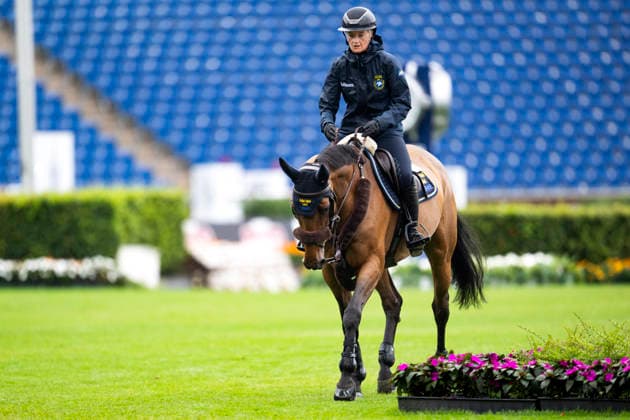 AACHEN, TYSKLAND 20260818 Petronella Andersson med hästen Odina van Klapscheut under tisdagens inhoppning pa VM-arenan inför ryttar-VM i Aachen. *** Bilden ingar i SPORTPAKET. För övriga BETALBILD ** AACHEN TYSKLAND x10050x *** AACHEN, GERMANY 20260818 Petronella Andersson with her horse Odina van Klapscheut during Tuesday s warm-up at the World Championships arena ahead of the World Equestrian Championships in Aachen *** This image is part of the SPORT PACKAGE. For other images, see PAYWALL ** AACHEN, GERMANY x10050x  Copyright: xPontusxLundahl TTx RYTTAR-VM 2026