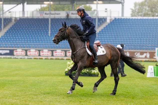 AACHEN - FEI World Championships 2026, AACHEN - FEI World Championships 2026 DEUSSER Daniel (GER), Otello de Guldenboom FEI Jumping World Championship, WM, Weltmeisterschaft Familiarization Aachen, Reitstadion Soers 18. August 2026 - *** AACHEN FEI World Championships 2026, AACHEN FEI World Championships 2026 DEUSSER Daniel GER, Otello de Guldenboom FEI Jumping World Championship Familiarization Aachen, Soers Equestrian Stadium, August 18, 2026
