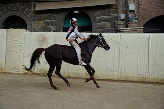 Tittia wins Palio di Siena for Nicchio SIENA, ITALY, AUGUST 18, 2026: Jockey Giovanni Atzeni, known as Tittia, riding Anda e Bola wins the August edition of the Palio di Siena for the Nicchio contrada. The race was postponed from August 16 and 17 due to rain. The victory marks Tittia s 13th Palio win. After the race, Tittia fell from his horse and was taken to a hospital in Siena for medical checks. Siena Italy Copyright: x xTommasoxSfregolax xJNAxPressx