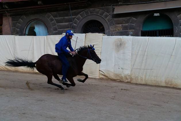 Tittia wins Palio di Siena for Nicchio SIENA, ITALY, AUGUST 18, 2026: Jockey Giovanni Atzeni, known as Tittia, riding Anda e Bola wins the August edition of the Palio di Siena for the Nicchio contrada. The race was postponed from August 16 and 17 due to rain. The victory marks Tittia s 13th Palio win. After the race, Tittia fell from his horse and was taken to a hospital in Siena for medical checks. Siena Italy Copyright: x xTommasoxSfregolax xJNAxPressx