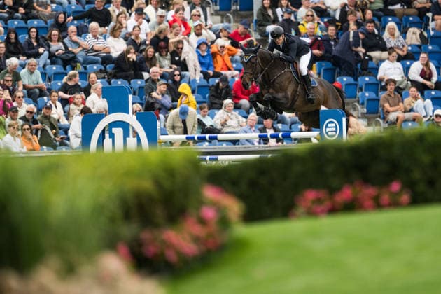 260819 Peder Fredricson of Sweden with horse Alcapone des Carmille compete in the team and individual jumping qualifier round one during day 9 of the 2026 FEI World Championships on August 19, 2026 in Aachen. Photo: Emma Wallskog BILDBYRAN kod EW EW0689 ridsport equestrian rid-vm 2026 2026 fei world championships bbeng ridsport-vm hoppning jumping sverige *** August 19, 2026: Peder Fredricson of Sweden, riding Alcapone des Carmille, competes in the first round of the team and individual show jumping qualifiers on Day 9 of the 2026 FEI World Championships, 2026 in Aachen. Photo by Emma Wallskog, BILDBYRAN, code EW EW0689: equestrian sports, 2026 World Championships, 2026 FEI World Championships, BBENG, equestrian sports, World Championships, show jumping, Sweden  Copyright: EMMAxWALLSKOG BB260819EW088