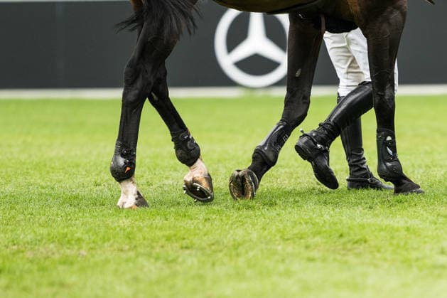260819 Peder Fredricson of Sweden with horse Alcapone des Carmille who lost his shoe while competing in the team and individual jumping qualifier round one during day 9 of the 2026 FEI World Championships on August 19, 2026 in Aachen. Photo: Emma Wallskog BILDBYRAN kod EW EW0689 ridsport equestrian rid-vm 2026 2026 fei world championships bbeng ridsport-vm hoppning jumping sverige *** August 19, 2026: Peder Fredricson of Sweden with his horse Alcapone des Carmille, who lost his shoe while competing in the first round of the team and individual show jumping qualifiers on Day 9 of the 2026 FEI World Championships on August 19, 2026 in Aachen. Photo: Emma Wallskog, BILDBYRAN, code EW EW0689. equestrian sports, 2026 World Championships, 2026 FEI World Championships, BBENG, equestrian sports, World Championships, show jumping, Sweden  Copyright: EMMAxWALLSKOG BB260819EW093