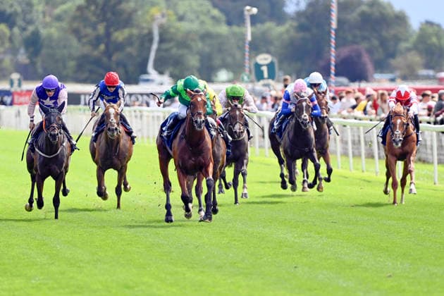 19.08.2026, York, North Yorkshire, GBR - Haffner (center) with Ryan Moore up wins the Acomb Stakes. York racecourse. (Pferd, Jockey, Haffner, Moore, Sieg, Ziel, Zielankunft) 260819C906YORK.JPG *** August 19, 2026, York, North Yorkshire, UK: Haffner, ridden by Ryan Moore, wins the Acomb Stakes at York Racecourse. Horse, Jockey, Haffner, Moore, Victory, Finish, Finish Line 260819C906YORK JPG