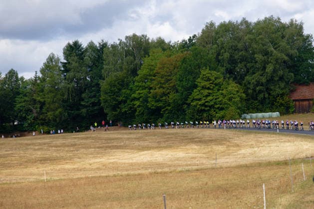 Das Peloton aufgereiht am Waldrand *** The peloton lined up at the edge of the forest