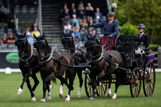Sport Bilder des Tages 260821 Fredrik Persson of Sweden with horses Fasco, Hertog Jan, Judson and Kermit compete in the Four-in-Hand Dressage during day 11 of the 2026 FEI World Championships on August 21, 2026 in Aachen. Photo: Emma Wallskog BILDBYRAN kod EW EW0695 ridsport equestrian rid-vm 2026 2026 fei world championships bbeng ridsport-vm fyrspann drivning körning dressyr dressage four in hand *** August 21, 2026: Fredrik Persson of Sweden, riding the horses Fasco, Hertog Jan, Judson, and Kermit, competes in the Four-in-Hand Dressage on Day 11 of the 2026 FEI World Championships on August 21, 2026 in Aachen. Photo by Emma Wallskog. BILDBYRAN code EW EW0695 equestrian sports 2026 World Championships 2026 FEI World Championships bbeng equestrian sports World Championships four-in-hand driving dressage four-in-hand  Copyright: EMMAxWALLSKOG BB260821EW004