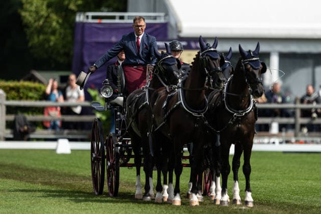 260821 Fredrik Persson of Sweden with horses Fasco, Hertog Jan, Judson and Kermit compete in the Four-in-Hand Dressage during day 11 of the 2026 FEI World Championships on August 21, 2026 in Aachen. Photo: Emma Wallskog BILDBYRAN kod EW EW0695 ridsport equestrian rid-vm 2026 2026 fei world championships bbeng ridsport-vm fyrspann drivning körning dressyr dressage four in hand *** August 21, 2026: Fredrik Persson of Sweden, riding the horses Fasco, Hertog Jan, Judson, and Kermit, competes in the Four-in-Hand Dressage on Day 11 of the 2026 FEI World Championships on August 21, 2026 in Aachen. Photo by Emma Wallskog. BILDBYRAN code EW EW0695 equestrian sports 2026 World Championships 2026 FEI World Championships bbeng equestrian sports World Championships four-in-hand driving dressage four-in-hand  Copyright: EMMAxWALLSKOG BB260821EW008