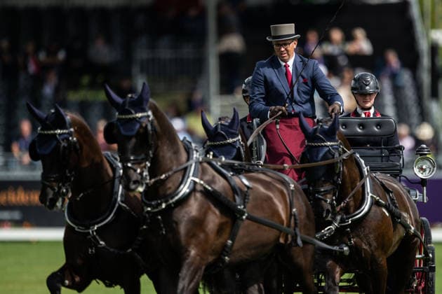 260821 Fredrik Persson of Sweden with horses Fasco, Hertog Jan, Judson and Kermit compete in the Four-in-Hand Dressage during day 11 of the 2026 FEI World Championships on August 21, 2026 in Aachen. Photo: Emma Wallskog BILDBYRAN kod EW EW0695 ridsport equestrian rid-vm 2026 2026 fei world championships bbeng ridsport-vm fyrspann drivning körning dressyr dressage four in hand *** August 21, 2026: Fredrik Persson of Sweden, riding the horses Fasco, Hertog Jan, Judson, and Kermit, competes in the Four-in-Hand Dressage on Day 11 of the 2026 FEI World Championships on August 21, 2026 in Aachen. Photo by Emma Wallskog. BILDBYRAN code EW EW0695 equestrian sports 2026 World Championships 2026 FEI World Championships bbeng equestrian sports World Championships four-in-hand driving dressage four-in-hand  Copyright: EMMAxWALLSKOG BB260821EW011
