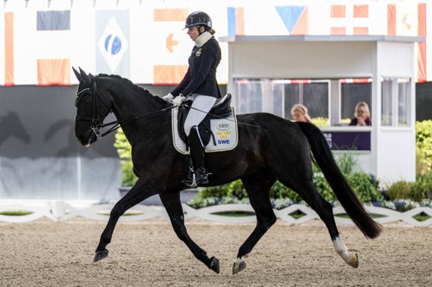 260821 Renee Claesson Ribring of Sweden with horse Zapp compete in the Para Dressage Grand Prix B Team Final Grade III on August 21, 2026 in Aachen. Photo: Emma Wallskog BILDBYRAN kod EW EW0694 ridsport equestrian rid-vm 2026 2026 fei world championships bbeng ridsport-vm dressyr dressage para dressage paradressyr parasport *** August 21, 2026: Renee Claesson Ribring of Sweden, riding Zapp, competed in the Para Dressage Grand Prix B Team Final, Grade III, on August 21, 2026 in Aachen. Photo by Emma Wallskog. BILDBYRAN code EW EW0694 equestrian sports riding 2026 World Championships 2026 FEI World Championships BBENG equestrian sports World Championships dressage para dressage parasports  Copyright: EMMAxWALLSKOG BB260821EW020