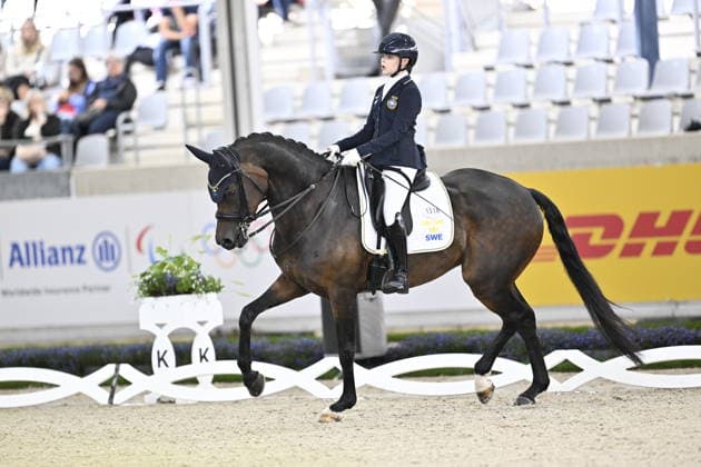 AACHEN, GERMANY 20260821 Sweden s Renee Claesson-Ribring on the horse Zapp VS at Friday s team competition in para-dressage during the Equestrian World Championships in Aachen. AACHEN GERMANY x10050x *** AACHEN, GERMANY 20260821 Sweden s Renee Claesson Ribring on the horse Zapp VS during Friday s team competition in para-dressage at the World Equestrian Games in Aachen AACHEN GERMANY x10050x  Copyright: xPontusxLundahl TTx EQUESTRIAN WORLD CHAMPIONSHIP 2026