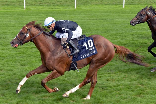 21.08.2026, York, North Yorkshire, GBR - Bacio with Juan Hernandez up wins the Nunthorphe Stakes. York racecourse. (Pferd, Jockey, Bacio, Hernandez, Sieg, Ziel, Zielankunft) 260821C946YORK.JPG *** August 21, 2026, York, North Yorkshire, UK: Bacio, ridden by Juan Hernandez, wins the Nunthorpe Stakes at York Racecourse. Horse, Jockey, Bacio, Hernandez, Victory, Finish, Finish Line 260821C946YORK JPG