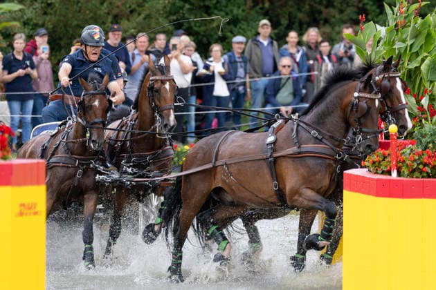 Christoph SANDMANN (GER), mit seinem Gespann im Wasser, Einzelaktion, Fahren, Aktion, A2: Marathon FEI Driving World Championship, WM, Weltmeisterschaft - Team und Einzel, am 22.08.2026, FEI Reit Weltmeisterschaft Aachen 2026 vom 11. - 23.08.2026 in Aachen Deutschland; Â *** Christoph SANDMANN (GER), with his team in the water, individual event, driving, action, A2 Marathon at the FEI Driving World Championships (Team and Individual), on August 22, 2026, FEI World Equestrian Games Aachen 2026, August 11–23, 2026, in Aachen, Germany Â