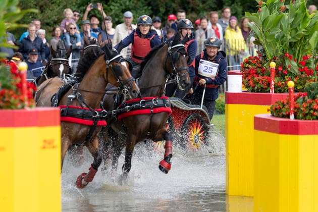 Anna Mareike MEIER (GER), mit ihrem Gespann im Wasser, Einzelaktion, Fahren, Aktion, A2: Marathon FEI Driving World Championship, WM, Weltmeisterschaft - Team und Einzel, am 22.08.2026, FEI Reit Weltmeisterschaft Aachen 2026 vom 11. - 23.08.2026 in Aachen Deutschland; Â *** Anna Mareike MEIER GER, with her team in the water, individual event, driving, action, A2 Marathon FEI Driving World Championship (team and individual), on August 22, 2026, FEI World Equestrian Games Aachen 2026, August 11–23, 2026, in Aachen, Germany Â