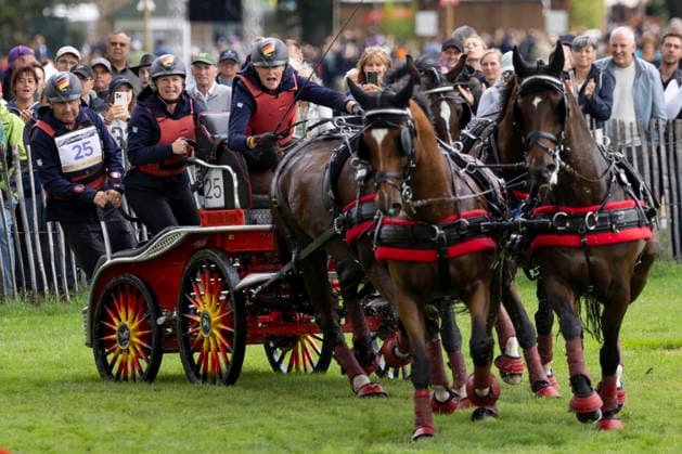 Anna Mareike MEIER (GER), mit ihrem Gespann im Wasser, Einzelaktion, Fahren, Aktion, A2: Marathon FEI Driving World Championship, WM, Weltmeisterschaft - Team und Einzel, am 22.08.2026, FEI Reit Weltmeisterschaft Aachen 2026 vom 11. - 23.08.2026 in Aachen Deutschland; Â *** Anna Mareike MEIER (GER), with her team in the water, individual event, driving, action, A2 Marathon at the FEI Driving World Championship (team and individual events), on August 22, 2026, FEI World Equestrian Games Aachen 2026, August 11–23, 2026, in Aachen, Germany Â