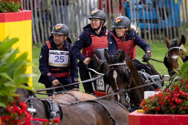 Anna Mareike MEIER (GER), mit ihrem Gespann im Wasser, Einzelaktion, Fahren, Aktion, A2: Marathon FEI Driving World Championship, WM, Weltmeisterschaft - Team und Einzel, am 22.08.2026, FEI Reit Weltmeisterschaft Aachen 2026 vom 11. - 23.08.2026 in Aachen Deutschland; Â *** Anna Mareike MEIER (GER), with her team in the water, individual event, driving, action, A2 Marathon at the FEI Driving World Championship (team and individual events), on August 22, 2026, FEI World Equestrian Games Aachen 2026, August 11–23, 2026, in Aachen, Germany Â