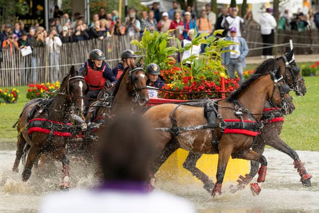 Anna Mareike MEIER (GER), mit ihrem Gespann im Wasser, Einzelaktion, Fahren, Aktion, A2: Marathon FEI Driving World Championship, WM, Weltmeisterschaft - Team und Einzel, am 22.08.2026, FEI Reit Weltmeisterschaft Aachen 2026 vom 11. - 23.08.2026 in Aachen Deutschland; Â *** Anna Mareike MEIER (GER), with her team in the water, individual event, driving, action, A2 Marathon at the FEI Driving World Championship (team and individual events), on August 22, 2026, FEI World Equestrian Games Aachen 2026, August 11–23, 2026, in Aachen, Germany Â