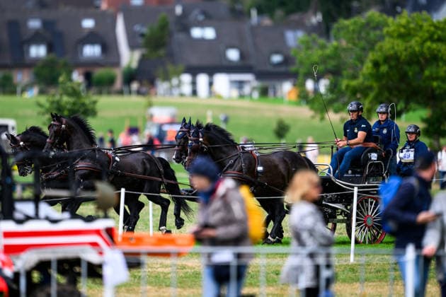 260822 Fredrik Persson of Sweden with horses Fasco, Hertog Jan, Judson and Kermit compete in the Four-in-Hand Marathon during day 12 of the 2026 FEI World Championships on August 22, 2026 in Aachen. Photo: Emma Wallskog BILDBYRAN kod EW EW0697 ridsport equestrian rid-vm 2026 2026 fei world championships bbeng ridsport-vm fyrspann drivning körning *** August 22, 2026: Fredrik Persson of Sweden, with his horses Fasco, Hertog Jan, Judson, and Kermit, competes in the Four-in-Hand Marathon on Day 12 of the 2026 FEI World Championships in Aachen. 2026 in Aachen. Photo by Emma Wallskog, BILDBYRAN code EW EW0697 equestrian sports 2026 World Championships 2026 FEI World Championships BBENG equestrian sports World Championships four-in-hand driving  Copyright: EMMAxWALLSKOG BB260822EW013