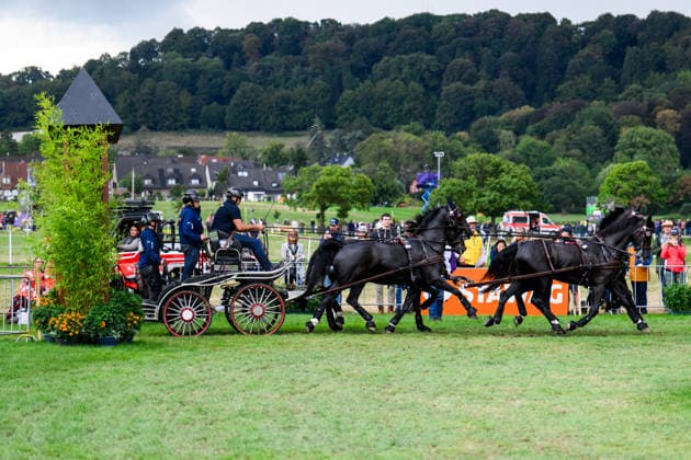 260822 Fredrik Persson of Sweden with horses Fasco, Hertog Jan, Judson and Kermit compete in the Four-in-Hand Marathon during day 12 of the 2026 FEI World Championships on August 22, 2026 in Aachen. Photo: Emma Wallskog BILDBYRAN kod EW EW0697 ridsport equestrian rid-vm 2026 2026 fei world championships bbeng ridsport-vm fyrspann drivning körning *** August 22, 2026: Fredrik Persson of Sweden, with his horses Fasco, Hertog Jan, Judson, and Kermit, competes in the Four-in-Hand Marathon on Day 12 of the 2026 FEI World Championships on August 22, 2026 in Aachen. Photo by Emma Wallskog. BILDBYRAN code EW EW0697 equestrian sports 2026 World Championships 2026 FEI World Championships bbeng equestrian sports World Championships four-in-hand driving  Copyright: EMMAxWALLSKOG BB260822EW014