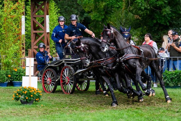 260822 Fredrik Persson of Sweden with horses Fasco, Hertog Jan, Judson and Kermit compete in the Four-in-Hand Marathon during day 12 of the 2026 FEI World Championships on August 22, 2026 in Aachen. Photo: Emma Wallskog BILDBYRAN kod EW EW0697 ridsport equestrian rid-vm 2026 2026 fei world championships bbeng ridsport-vm fyrspann drivning körning *** August 22, 2026: Fredrik Persson of Sweden, with his horses Fasco, Hertog Jan, Judson, and Kermit, competes in the Four-in-Hand Marathon on Day 12 of the 2026 FEI World Championships on August 22, 2026 in Aachen. Photo by Emma Wallskog. BILDBYRAN code EW EW0697 equestrian sports 2026 World Championships 2026 FEI World Championships bbeng equestrian sports World Championships four-in-hand driving  Copyright: EMMAxWALLSKOG BB260822EW015