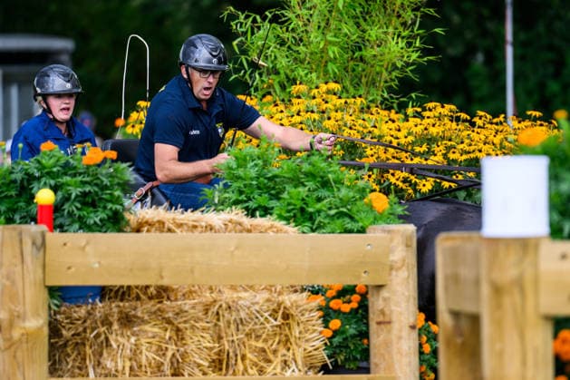 260822 Fredrik Persson of Sweden with horses Fasco, Hertog Jan, Judson and Kermit compete in the Four-in-Hand Marathon during day 12 of the 2026 FEI World Championships on August 22, 2026 in Aachen. Photo: Emma Wallskog BILDBYRAN kod EW EW0697 ridsport equestrian rid-vm 2026 2026 fei world championships bbeng ridsport-vm fyrspann drivning körning *** August 22, 2026: Fredrik Persson of Sweden, with his horses Fasco, Hertog Jan, Judson, and Kermit, competes in the Four-in-Hand Marathon on Day 12 of the 2026 FEI World Championships, 2026 in Aachen. Photo by Emma Wallskog. BILDBYRAN code EW EW0697 equestrian sports equestrian riding 2026 World Championships 2026 FEI World Championships bbeng equestrian sports World Championships four-in-hand driving  Copyright: EMMAxWALLSKOG BB260822EW019