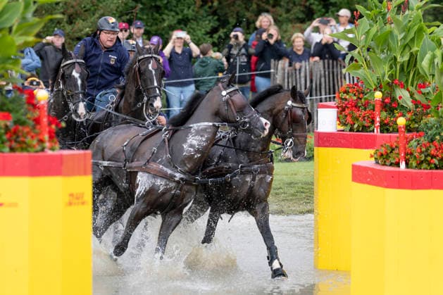Georg VON STEIN (GER), mit seinem Gespann im Wasser, Einzelaktion, Fahren, Aktion, A2: Marathon FEI Driving World Championship, WM, Weltmeisterschaft - Team und Einzel, am 22.08.2026, FEI Reit Weltmeisterschaft Aachen 2026 vom 11. - 23.08.2026 in Aachen Deutschland; Â *** Georg VON STEIN GER, with his team in the water, individual event, driving, action, A2 Marathon FEI Driving World Championship (team and individual), on August 22, 2026, FEI World Equestrian Games Aachen 2026, August 11–23, 2026, in Aachen, Germany Â