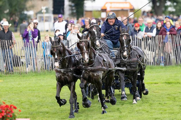Georg VON STEIN (GER), mit seinem Gespann im Wasser, Einzelaktion, Fahren, Aktion, A2: Marathon FEI Driving World Championship, WM, Weltmeisterschaft - Team und Einzel, am 22.08.2026, FEI Reit Weltmeisterschaft Aachen 2026 vom 11. - 23.08.2026 in Aachen Deutschland; Â *** Georg VON STEIN GER, with his team in the water, individual event, driving, action, A2 Marathon FEI Driving World Championship (team and individual), on August 22, 2026, FEI World Equestrian Games Aachen 2026, August 11–23, 2026, in Aachen, Germany Â
