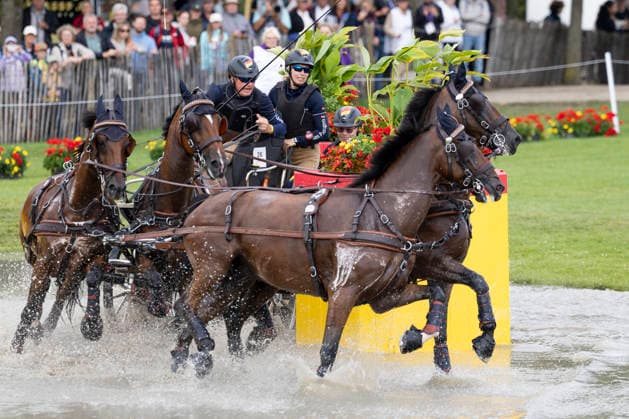 Rene POENSGEN (GER), mit seinem Gespann im Wasser, Einzelaktion, Fahren, Aktion, A2: Marathon FEI Driving World Championship, WM, Weltmeisterschaft - Team und Einzel, am 22.08.2026, FEI Reit Weltmeisterschaft Aachen 2026 vom 11. - 23.08.2026 in Aachen Deutschland; Â *** Rene POENSGEN (GER), with his team in the water, individual event, driving, action, A2 Marathon at the FEI Driving World Championships (team and individual events), on August 22, 2026, FEI World Equestrian Games Aachen 2026, August 11–23, 2026, in Aachen, Germany Â