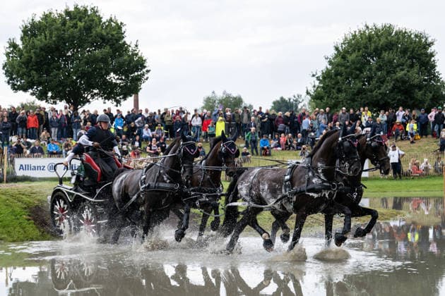 260822 Peter Bennett of Great Britain with horses Elmo Almire, Kroonprins, Lodewijk and Lutiano compete in the Four-in-Hand Marathon during day 12 of the 2026 FEI World Championships on August 22, 2026 in Aachen. Photo: Emma Wallskog BILDBYRAN kod EW EW0697 ridsport equestrian rid-vm 2026 2026 fei world championships bbeng ridsport-vm fyrspann drivning körning *** August 22, 2026: Peter Bennett of Great Britain, with his horses Elmo Almire, Kroonprins, Lodewijk, and Lutiano, competes in the Four-in-Hand Marathon on day 12 of the 2026 FEI World Championships on August 22, 2026 in Aachen. Photo by Emma Wallskog. BILDBYRAN code EW EW0697 equestrian sports 2026 World Championships 2026 FEI World Championships bbeng equestrian sports World Championships four-in-hand driving  Copyright: EMMAxWALLSKOG BB260822EW024