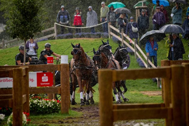 AACHEN, GERMANY - AUGUST 22: Action during the Marathon Team and Individual competition of the FEI Driving World Championship, WM, Weltmeisterschaft Four-in-Hand, Prize of schwartz Group, at Marathon Course Soers on August 22, 2026 in Aachen, Germany.  Copyright: xVitaliixKliuievx