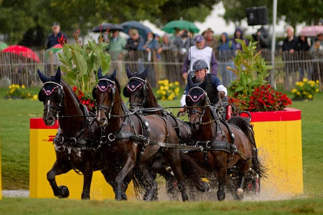 AACHEN, GERMANY - AUGUST 22: Action during the Marathon Team and Individual competition of the FEI Driving World Championship, WM, Weltmeisterschaft Four-in-Hand, Prize of schwartz Group, at Marathon Course Soers on August 22, 2026 in Aachen, Germany.  Copyright: xVitaliixKliuievx