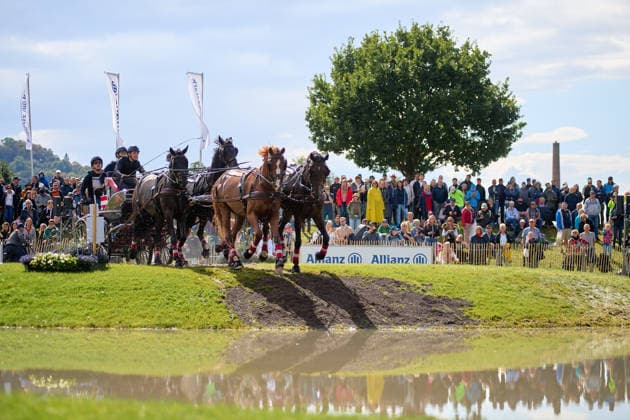 AACHEN, GERMANY - AUGUST 22: Action during the Marathon Team and Individual competition of the FEI Driving World Championship, WM, Weltmeisterschaft Four-in-Hand, Prize of schwartz Group, at Marathon Course Soers on August 22, 2026 in Aachen, Germany.  Copyright: xVitaliixKliuievx