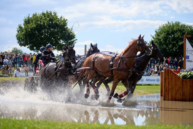 AACHEN, GERMANY - AUGUST 22: Action during the Marathon Team and Individual competition of the FEI Driving World Championship, WM, Weltmeisterschaft Four-in-Hand, Prize of schwartz Group, at Marathon Course Soers on August 22, 2026 in Aachen, Germany.  Copyright: xVitaliixKliuievx