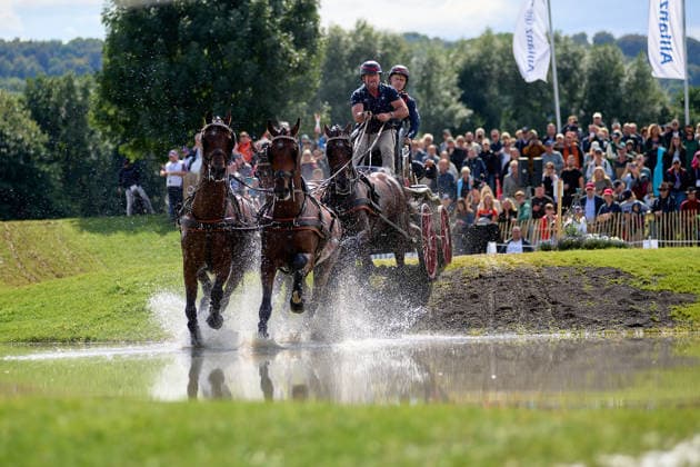 AACHEN, GERMANY - AUGUST 22: Action during the Marathon Team and Individual competition of the FEI Driving World Championship, WM, Weltmeisterschaft Four-in-Hand, Prize of schwartz Group, at Marathon Course Soers on August 22, 2026 in Aachen, Germany.  Copyright: xVitaliixKliuievx