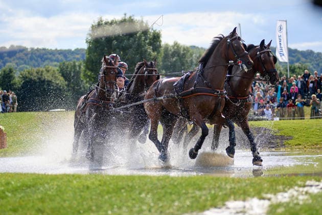AACHEN, GERMANY - AUGUST 22: Action during the Marathon Team and Individual competition of the FEI Driving World Championship, WM, Weltmeisterschaft Four-in-Hand, Prize of schwartz Group, at Marathon Course Soers on August 22, 2026 in Aachen, Germany.  Copyright: xVitaliixKliuievx