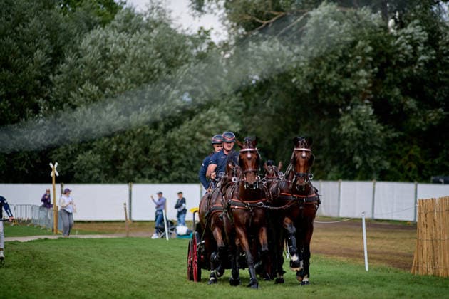 AACHEN, GERMANY - AUGUST 22: Action during the Marathon Team and Individual competition of the FEI Driving World Championship, WM, Weltmeisterschaft Four-in-Hand, Prize of schwartz Group, at Marathon Course Soers on August 22, 2026 in Aachen, Germany.  Copyright: xVitaliixKliuievx