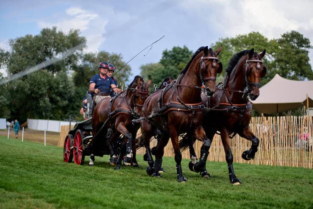 AACHEN, GERMANY - AUGUST 22: Action during the Marathon Team and Individual competition of the FEI Driving World Championship, WM, Weltmeisterschaft Four-in-Hand, Prize of schwartz Group, at Marathon Course Soers on August 22, 2026 in Aachen, Germany.  Copyright: xVitaliixKliuievx