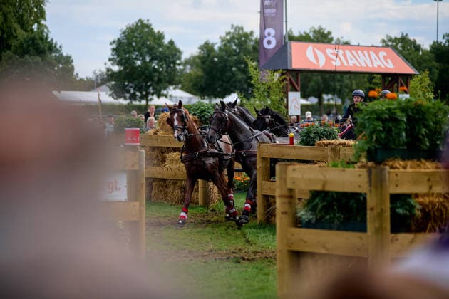 AACHEN, GERMANY - AUGUST 22: Action during the Marathon Team and Individual competition of the FEI Driving World Championship, WM, Weltmeisterschaft Four-in-Hand, Prize of schwartz Group, at Marathon Course Soers on August 22, 2026 in Aachen, Germany.  Copyright: xVitaliixKliuievx