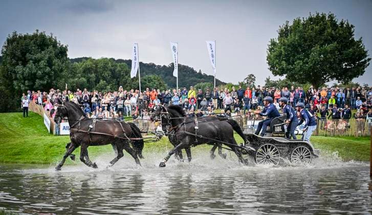 Vierspänner-Mannschafts- und Einzel-Geländefahren auf der Geländestrecke Soers: FEI World Championships Aachen 2026. Reit WM in Aachen im Allianz Park (Austragungsort der FEI World Championships) ** NUR FÜR REDAKTIONELLE ZWECKE ** EDITORIAL USE ONLY **<p>Team Nr. 19, Frankreich, Fahrer Anthony Horde am Samstag, dem 22 08 2026. Vierspänner-Mannschafts- und Einzel-Geländefahren auf der Geländestrecke Soers. In diesem Jahr wird in Aachen die Reit WM ausgerichtet. FEI World Championships Aachen 2026. Reit WM in Aachen im Allianz Park (Austragungsort der FEI World Championships) Deutschland NRW Essen Copyright: KerstinxKokoska *** Four-in-hand team and individual cross-country driving on the Soers cross-country course at the 2026 FEI World Championships in Aachen, held at Allianz Park, the venue for the FEI World Championships ** FOR EDITORIAL USE ONLY ** EDITORIAL USE ONLY ** Team No. 19, France, driver Anthony Horde on Saturday, August 22, 2026 Four-in-hand team and individual cross-country driving on the Soers cross-country course This year, the World Equestrian Games will be held in Aachen FEI World Championships Aachen 2026 World Equestrian Games in Aachen at Allianz Park Venue of the FEI World Championships Germany, North Rhine-Westphalia, Essen. Copyright KerstinxKokoska Copyright: KerstinxKokoska doc879rsbdzytx5jx1o1l37 ,EDITORIAL USE ONLY