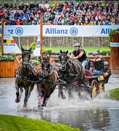 Vierspänner-Mannschafts- und Einzel-Geländefahren auf der Geländestrecke Soers: FEI World Championships Aachen 2026. Reit WM in Aachen im Allianz Park (Austragungsort der FEI World Championships) ** NUR FÜR REDAKTIONELLE ZWECKE ** EDITORIAL USE ONLY **<p>Team Nr. 16, Spanien, Fahrer Jose Ignacio Solana Marti am Samstag, dem 22 08 2026. Vierspänner-Mannschafts- und Einzel-Geländefahren auf der Geländestrecke Soers. In diesem Jahr wird in Aachen die Reit WM ausgerichtet. FEI World Championships Aachen 2026. Reit WM in Aachen im Allianz Park (Austragungsort der FEI World Championships) Deutschland NRW Essen Copyright: KerstinxKokoska *** Four-in-hand team and individual cross-country driving on the Soers cross-country course at the 2026 FEI World Championships in Aachen, held at Allianz Park, the venue for the FEI World Championships ** FOR EDITORIAL USE ONLY ** EDITORIAL USE ONLY ** Team No. 16, Spain, driver Jose Ignacio Solana Marti on Saturday, August 22, 2026 Four-in-hand team and individual cross-country driving on the Soers cross-country course This year, the World Equestrian Games will be held in Aachen FEI World Championships Aachen 2026 World Equestrian Games in Aachen at Allianz Park Venue of the FEI World Championships Germany, North Rhine-Westphalia, Essen. Copyright KerstinxKokoska Copyright: KerstinxKokoska doc879rs8946fs1icbcb1mph ,EDITORIAL USE ONLY