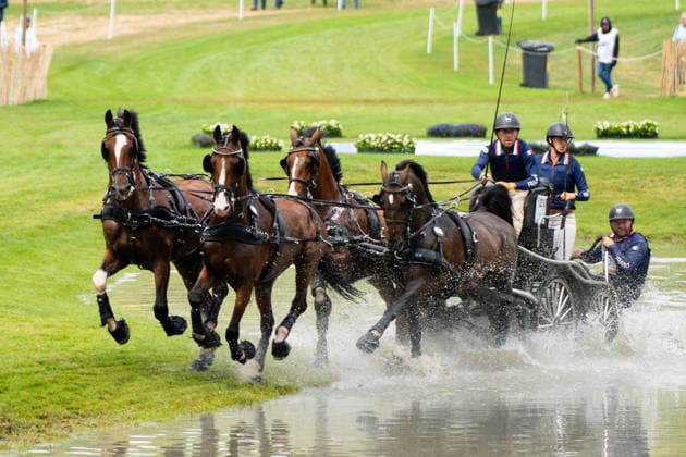 Das Team um Maxime Maricourt (FRA) FEI World Championships Aachen 2026, Driving Four-in-Hand Team & Individual Marathon, Prize of the schwartz Group, 22.08.2026 FEI World Championships Aachen 2026, Driving Four-in-Hand Team & Individual Marathon, Prize of the schwartz Group, 22.08.2026 Aachen *** Maxime Maricourt s team at the 2026 FEI World Championships in Aachen, Four-in-Hand Team Individual Marathon, Schwartz Group Prize, August 22, 2026, FEI World Championships in Aachen 2026, Four-in-Hand Team Individual Marathon, Schwartz Group Prize, August 22, 2026, Aachen Copyright: xEibner-Pressefoto J.xDerondeaux EP_JDU