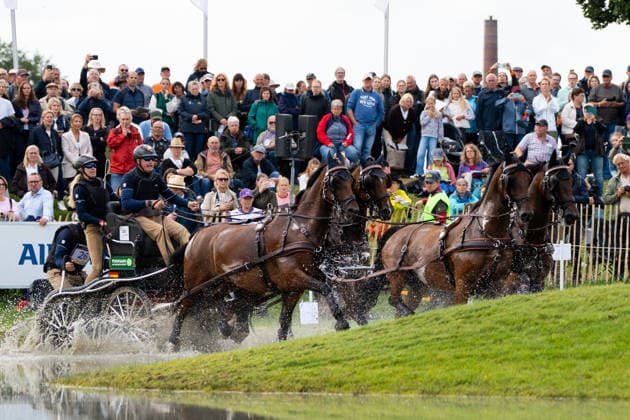 Das Team um Rene Poensgen (GER) FEI World Championships Aachen 2026, Driving Four-in-Hand Team & Individual Marathon, Prize of the schwartz Group, 22.08.2026 FEI World Championships Aachen 2026, Driving Four-in-Hand Team & Individual Marathon, Prize of the schwartz Group, 22.08.2026 Aachen *** Rene Poensgen s team at the 2026 FEI World Championships in Aachen, Four-in-Hand Team Individual Marathon, Schwartz Group Prize, August 22, 2026, FEI World Championships in Aachen 2026, Four-in-Hand Team Individual Marathon, Schwartz Group Prize, August 22, 2026, Aachen Copyright: xEibner-Pressefoto J.xDerondeaux EP_JDU