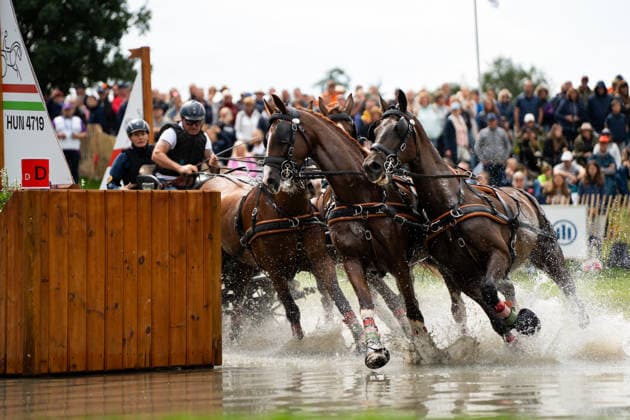 Das Team um Jozsef Dobrovitz FEI World Championships Aachen 2026, Driving Four-in-Hand Team & Individual Marathon, Prize of the schwartz Group, 22.08.2026 FEI World Championships Aachen 2026, Driving Four-in-Hand Team & Individual Marathon, Prize of the schwartz Group, 22.08.2026 Aachen *** Jozsef Dobrovitz s Team, FEI World Championships Aachen 2026, Four-in-Hand Team Individual Marathon, Schwartz Group Prize, August 22, 2026, FEI World Championships Aachen 2026, Four-in-Hand Team Individual Marathon, Schwartz Group Prize, August 22, 2026, Aachen Copyright: xEibner-Pressefoto J.xDerondeaux EP_JDU