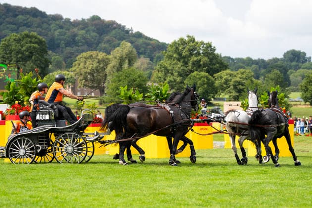 Das Team um Kees Koops (NED) FEI World Championships Aachen 2026, Driving Four-in-Hand Team & Individual Marathon, Prize of the schwartz Group, 22.08.2026 FEI World Championships Aachen 2026, Driving Four-in-Hand Team & Individual Marathon, Prize of the schwartz Group, 22.08.2026 Aachen *** Kees Koops Team, NED, FEI World Championships Aachen 2026, Four-in-Hand Team Individual Marathon, Schwartz Group Prize, August 22, 2026, FEI World Championships Aachen 2026, Four-in-Hand Team Individual Marathon, Schwartz Group Prize, August 22, 2026, Aachen Copyright: xEibner-Pressefoto J.xDerondeaux EP_JDU