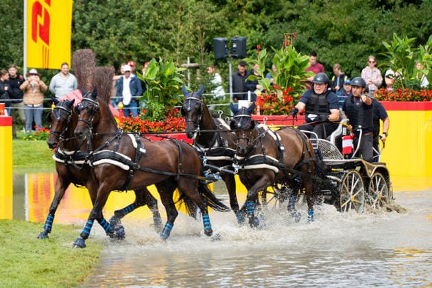 Das Team um Wolfgang Binder (AUT) FEI World Championships Aachen 2026, Driving Four-in-Hand Team & Individual Marathon, Prize of the schwartz Group, 22.08.2026 FEI World Championships Aachen 2026, Driving Four-in-Hand Team & Individual Marathon, Prize of the schwartz Group, 22.08.2026 Aachen *** Wolfgang Binder s team at the 2026 FEI World Championships in Aachen, Four-in-Hand Team Individual Marathon, Schwartz Group Prize, August 22, 2026, FEI World Championships Aachen 2026, Four-in-Hand Team Individual Marathon, Schwartz Group Prize, August 22, 2026, Aachen Copyright: xEibner-Pressefoto J.xDerondeaux EP_JDU