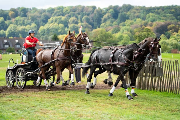 Das Team um Glenn Geerts (BEL) FEI World Championships Aachen 2026, Driving Four-in-Hand Team & Individual Marathon, Prize of the schwartz Group, 22.08.2026 FEI World Championships Aachen 2026, Driving Four-in-Hand Team & Individual Marathon, Prize of the schwartz Group, 22.08.2026 Aachen *** Glenn Geerts Team at the 2026 FEI World Championships in Aachen, Four-in-Hand Team Individual Marathon, Schwartz Group Prize, August 22, 2026, 2026 FEI World Championships in Aachen, Four-in-Hand Team Individual Marathon, Schwartz Group Prize, August 22, 2026, Aachen Copyright: xEibner-Pressefoto J.xDerondeaux EP_JDU
