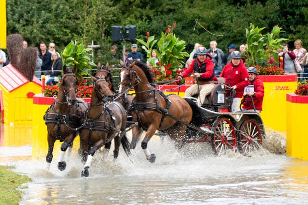 Das Team um Piotr Mazurek (POL) FEI World Championships Aachen 2026, Driving Four-in-Hand Team & Individual Marathon, Prize of the schwartz Group, 22.08.2026 FEI World Championships Aachen 2026, Driving Four-in-Hand Team & Individual Marathon, Prize of the schwartz Group, 22.08.2026 Aachen *** Piotr Mazurek s team at the 2026 FEI World Championships in Aachen, Four-in-Hand Team Individual Marathon, Schwartz Group Prize, August 22, 2026, FEI World Championships Aachen 2026, Four-in-Hand Team Individual Marathon, Schwartz Group Prize, August 22, 2026, Aachen Copyright: xEibner-Pressefoto J.xDerondeaux EP_JDU