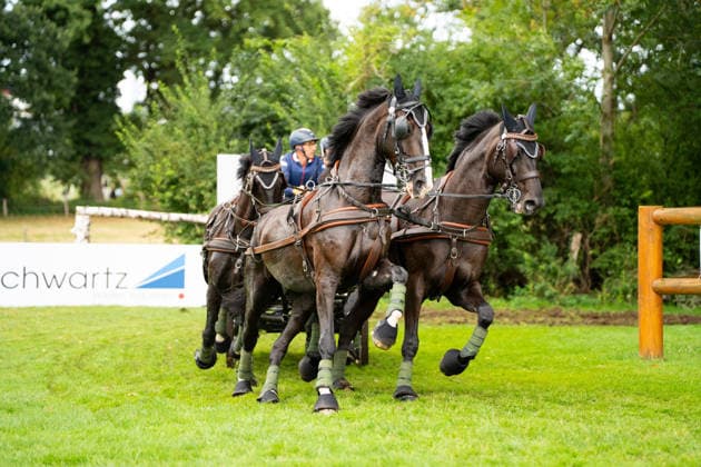 Das Team um Anthony Horde (FRA) FEI World Championships Aachen 2026, Driving Four-in-Hand Team & Individual Marathon, Prize of the schwartz Group, 22.08.2026 FEI World Championships Aachen 2026, Driving Four-in-Hand Team & Individual Marathon, Prize of the schwartz Group, 22.08.2026 Aachen *** Anthony Horde s team at the 2026 FEI World Championships in Aachen, Four-in-Hand Team Individual Marathon, Schwartz Group Prize, August 22, 2026 FEI World Championships in Aachen 2026, Four-in-Hand Team Individual Marathon, Schwartz Group Prize, August 22, 2026, Aachen Copyright: xEibner-Pressefoto J.xDerondeaux EP_JDU