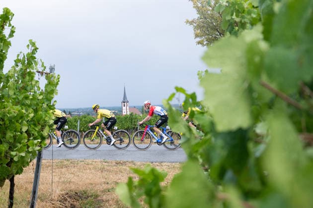 Lidl Deutschland Tour, Etappe 3, 22.08.2026 William Smith (GBR, Team Visma Lease a Bike Development); Wilco Kelderman (NED, Team Visma Lease a Bike) Maikammer Germany *** Lidl Germany Tour, Stage 3, August 22, 2026 William Smith GBR, Team Visma Lease a Bike Development Wilco Kelderman NED, Team Visma Lease a Bike Maikammer, Germany Copyright: xCarlaxHilgerx