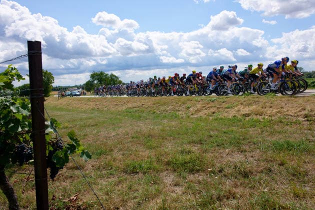 Das Peloton verlässt Herxheim vorbei an Weinreben *** The peloton leaves Herxheim, passing vineyards