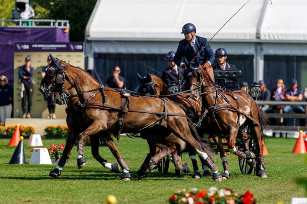 AACHEN - FEI World Championships 2026, AACHEN - FEI World Championships 2026 NAPROUS Daniel (GBR), Ippon, Jack, Lord P.C, Lyzander .V, Onno Stuntman Star Wars, Davinci Code, Games of Thrones and more FEI Driving World Championship, WM, Weltmeisterschaft Four-in-Hand Team & Individual Cones Kegelfahren Aachen, Reitstadion Soers 23. August 2026 - *** AACHEN FEI World Championships 2026, AACHEN FEI World Championships 2026 NAPROUS Daniel GBR, Ippon, Jack, Lord P C, Lyzander V, Onno (Star Wars stuntman), The Da Vinci Code, Game of Thrones, and more FEI Driving World Championships: Four-in-Hand, Team, Individual, and Cones Competition, Aachen, Soers Equestrian Stadium, August 23, 2026